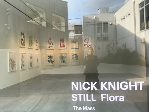 NICK KNIGHT - 「晴れのち」 - Inside Double/Double&SONS